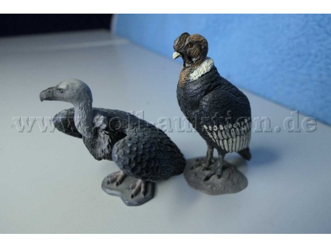 Tiere von der anderen Seite