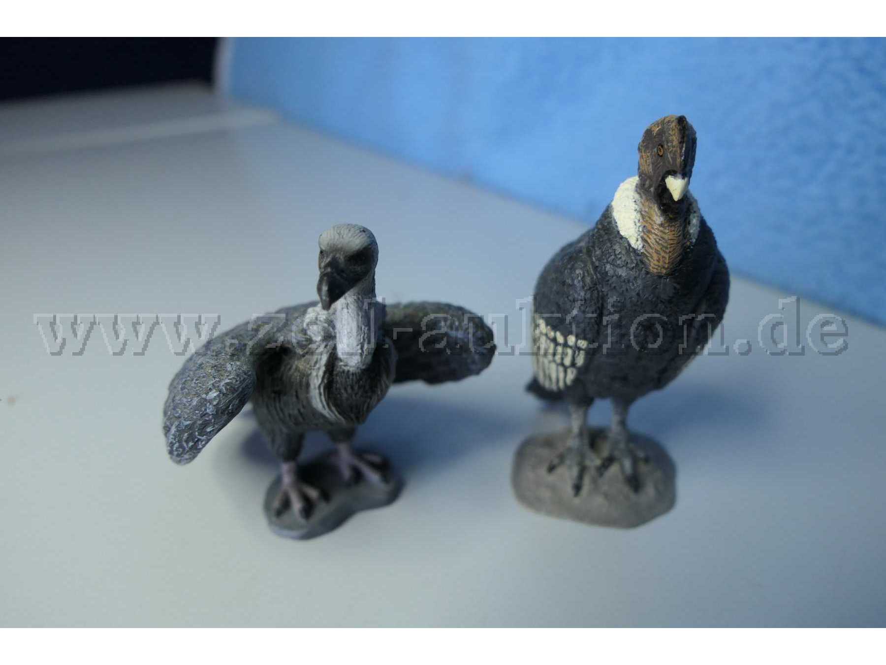 Tiere von vorne