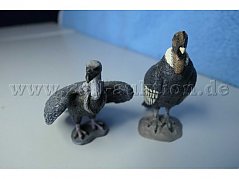 Tiere von vorne