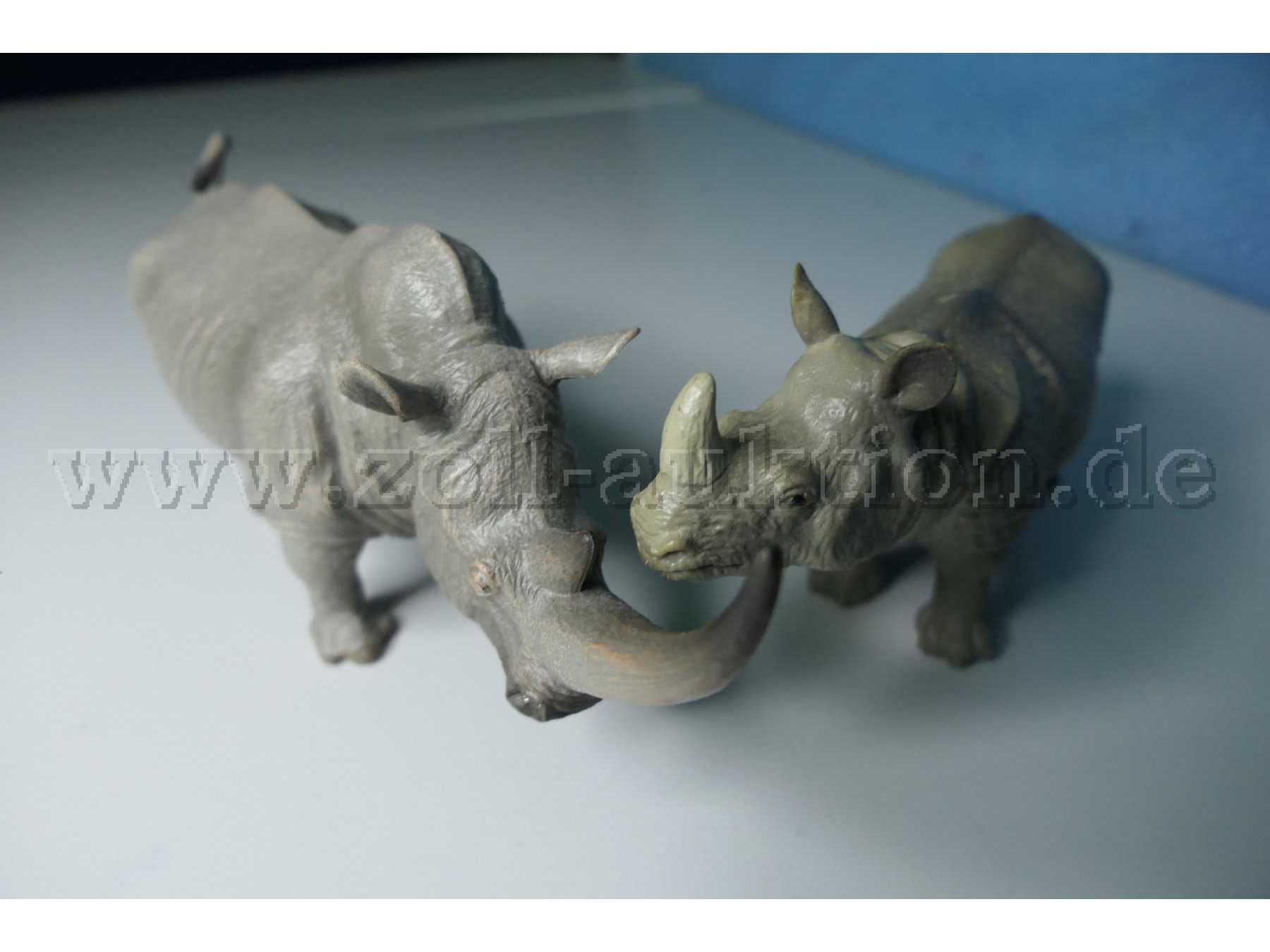 Tiere von vorne