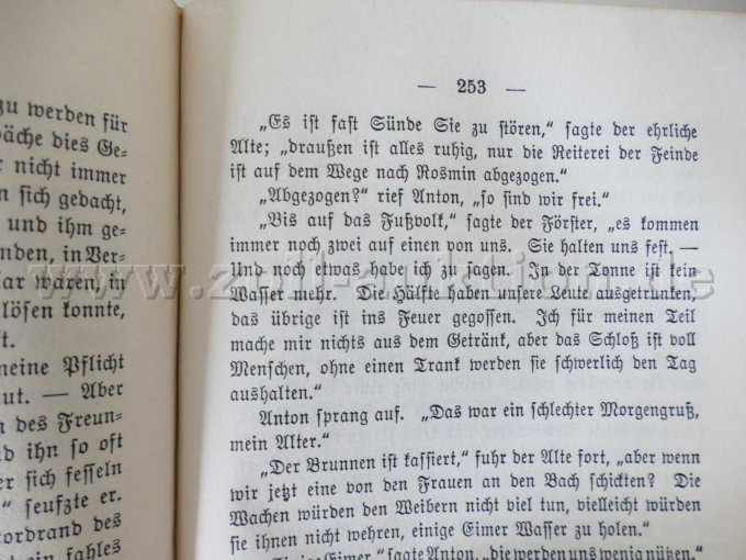 2 antiquarische Bände - Soll und Haben von Gustav Freytag, 1916 – foto 9 – kavel bij Zoll-Auktion, Dresden