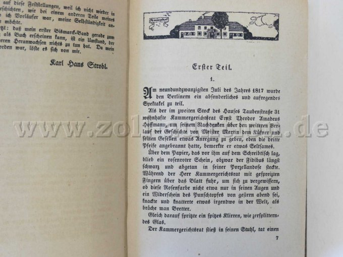 Seite 7 - Der wilde Bismarck.