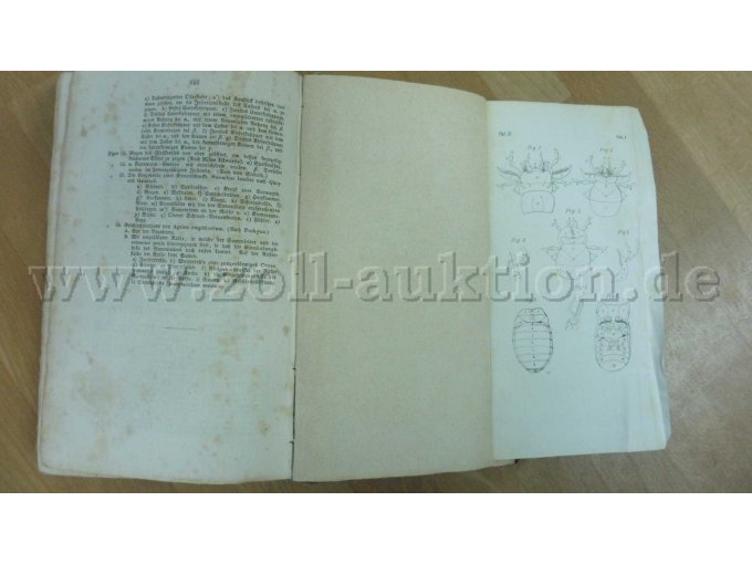 Innenseite mit Tafel