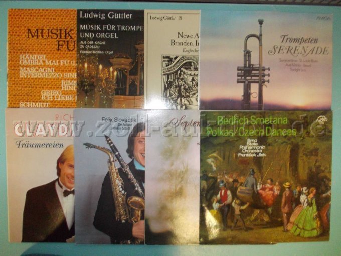 8 von 30 Schallplatten