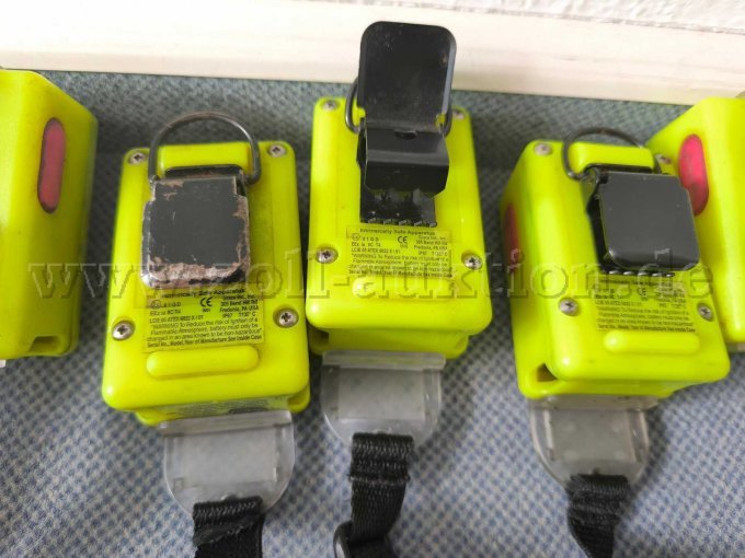 Bewegungslosmelder INTERSPIRO SUPERPASS II-H-ATEX