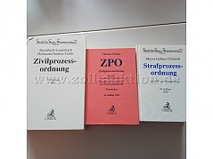 Bücher zum Thema Zivil- und Strafprozessordnung - Cover