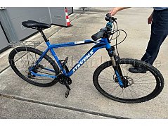 Fahrrad blau seite