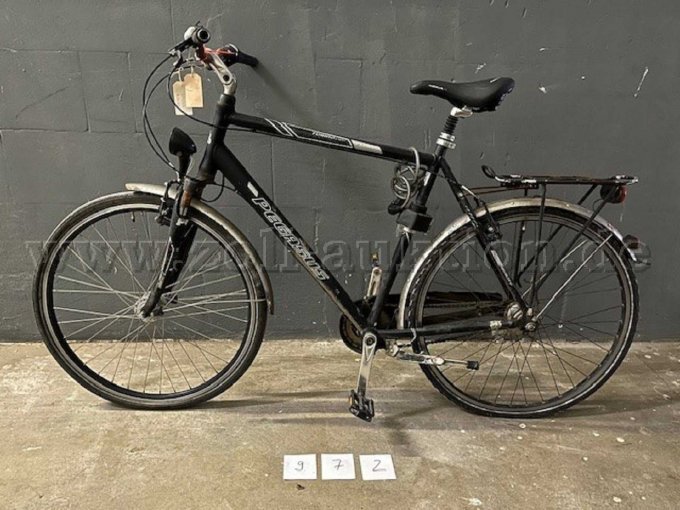 Pegasus Herrenrad - 972