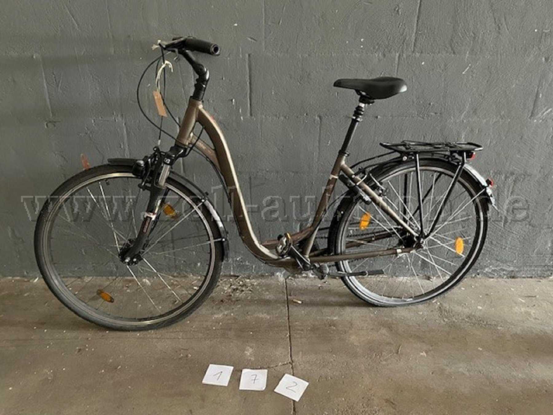 29 zoll trekking e bike BK15PL Elektrofahrrad Raleigh DUNDEE 11 Trekking color-satin-grey Colore:Arancia