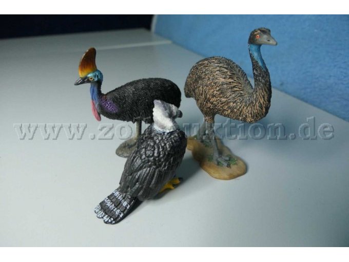Tiere von der anderen Seite