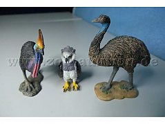 Tiere von vorne