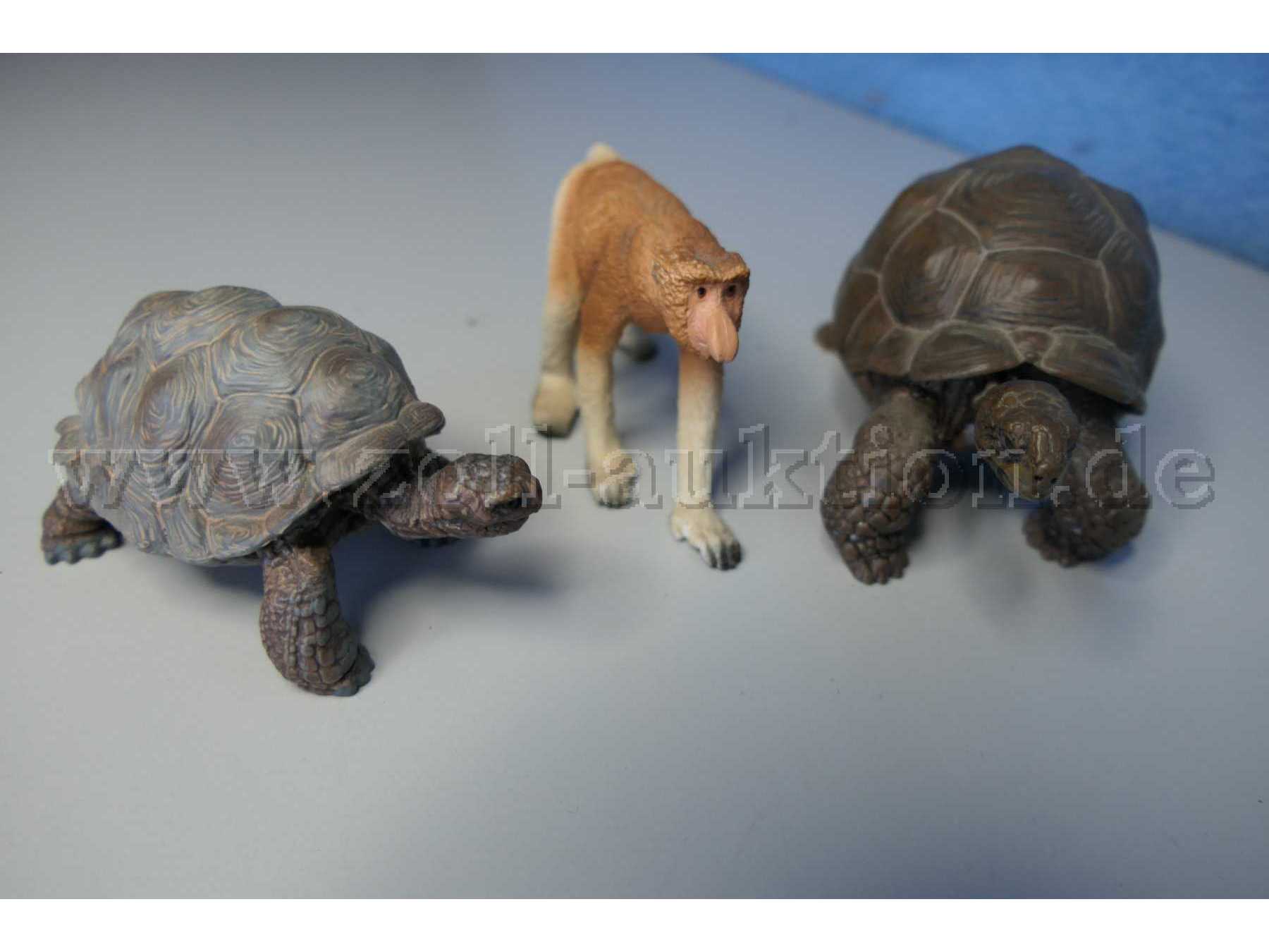 Die Tiere von vorne