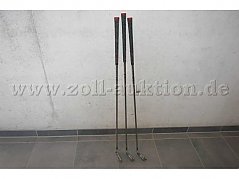 Gesamtansicht der Auktion