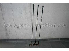 Gesamtansicht der Auktion