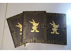 Lederbände Die Abenteuer des Asterix Band 1-3 Gesamtansicht von vorne