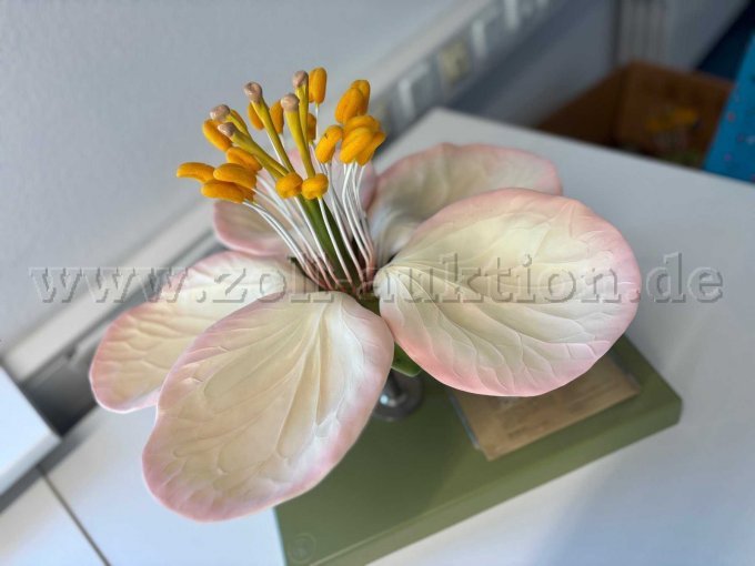 Lehrmodell 3 mit Beschreibung