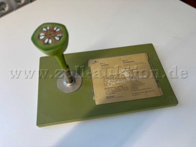 Lehrmodell 1 mit Beschreibung