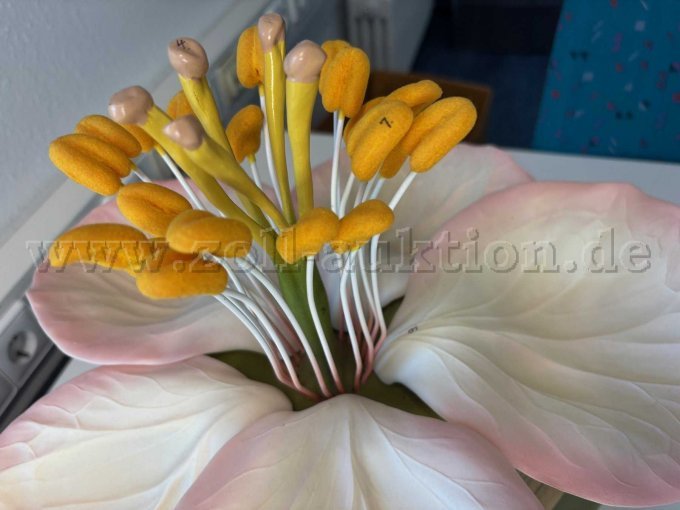 Lehrmodell 3 mit Beschreibung