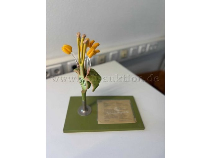 Lehrmodell2 mit Beschreibung