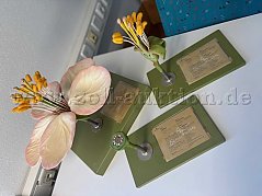 Lehrmodelle Apfelblüte Set