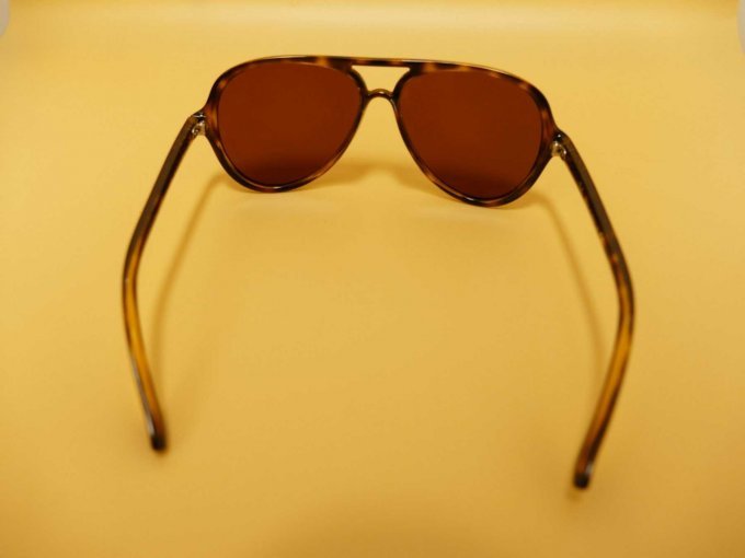 1. Sonnenbrille Ray Ban_ Hintere Ansicht