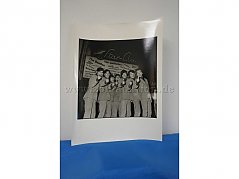 SW-Foto
The Spiders