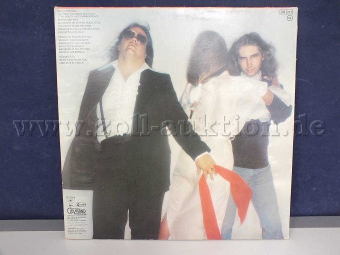 Ansicht des Covers "Bat Out Of Hell" von hinten, mit Beschädigungen