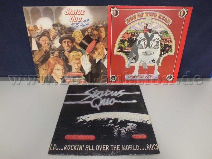 Gesamtansicht der LPs Status Quo, mit Beschädigungen Gesamtansicht der LPs Status Quo, mit Beschädigungen