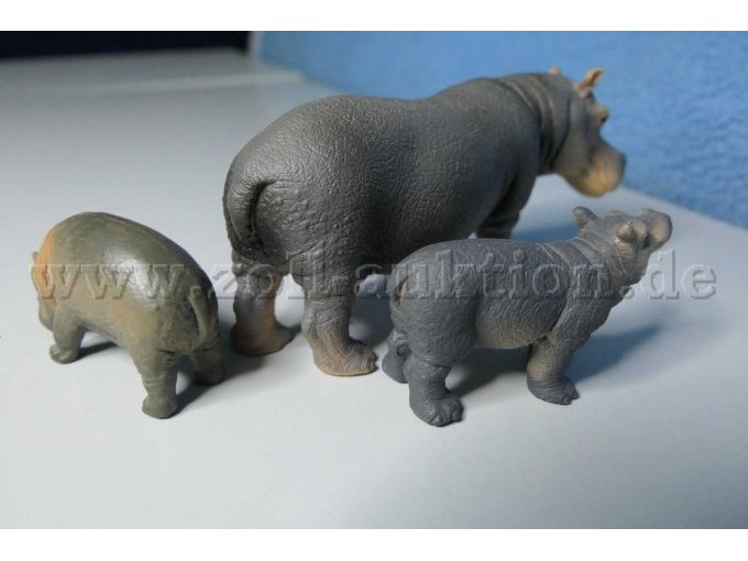 Tiere von hinten