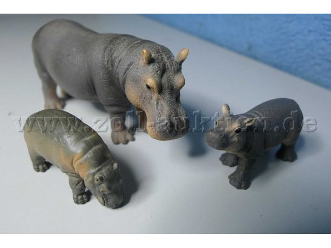 Tiere von vorne