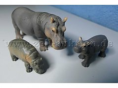 Tiere von vorne