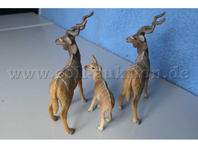 Tiere von hinten