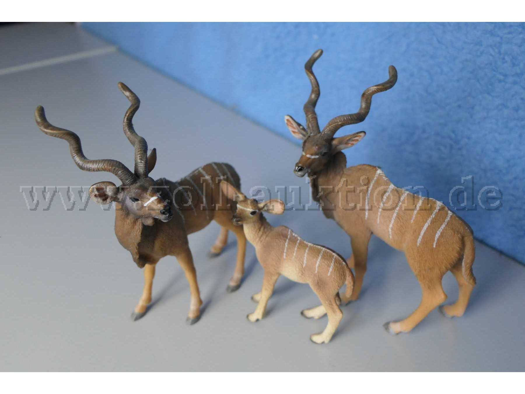 Tiere von vorne