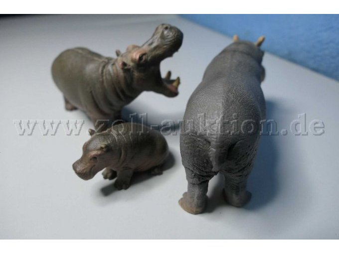 Tiere von der anderen Seite