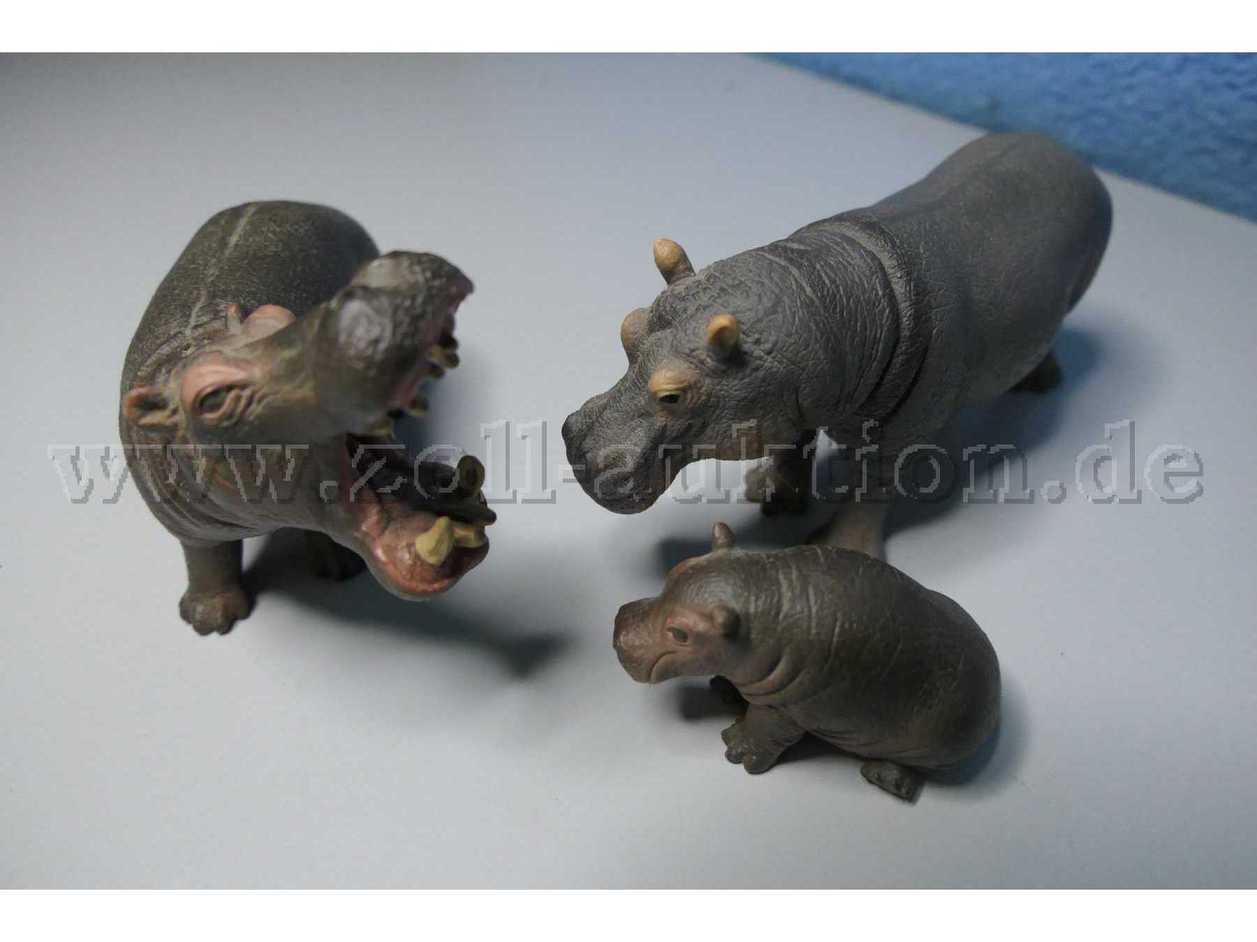 Tiere von vorne