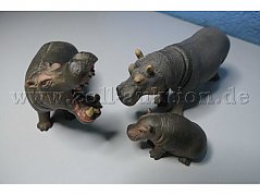 Tiere von vorne
