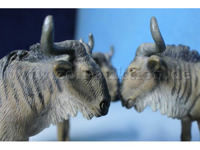 Schleich Gnu Gesamtansicht Köpfe