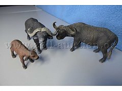 Tiere von vorne