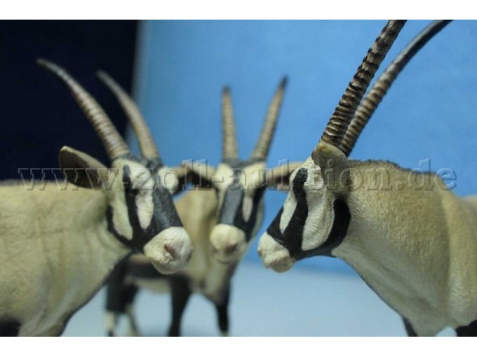 Schleich Oryxantilope Gesamtansicht Köpfe