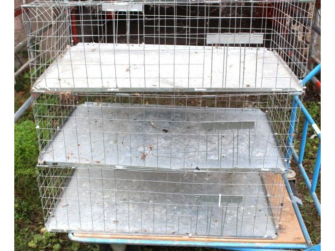 Gesamtangebot 3 Taubentransportkäfige