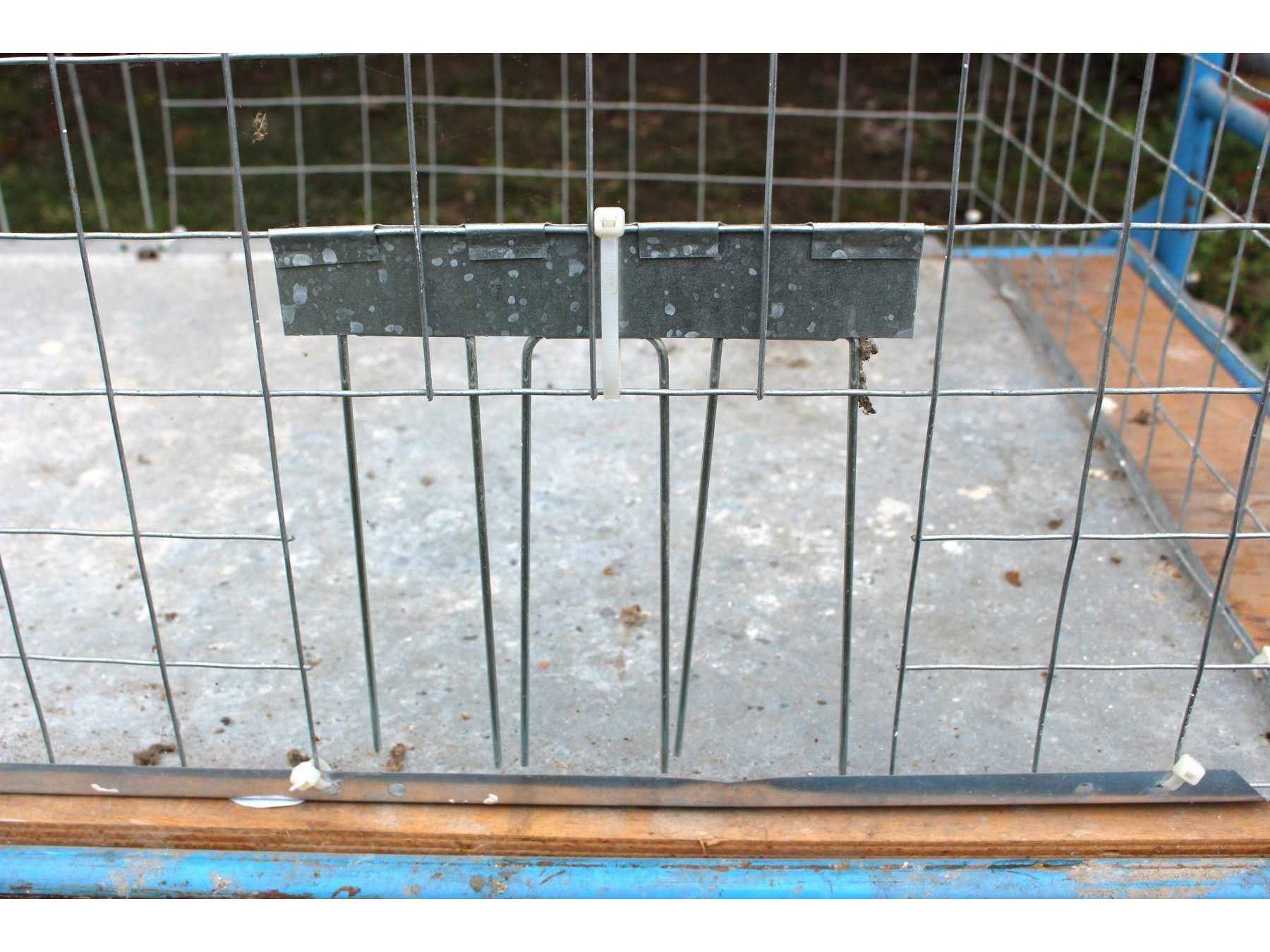 Detailansicht Taubentransportkäfig Öffnung