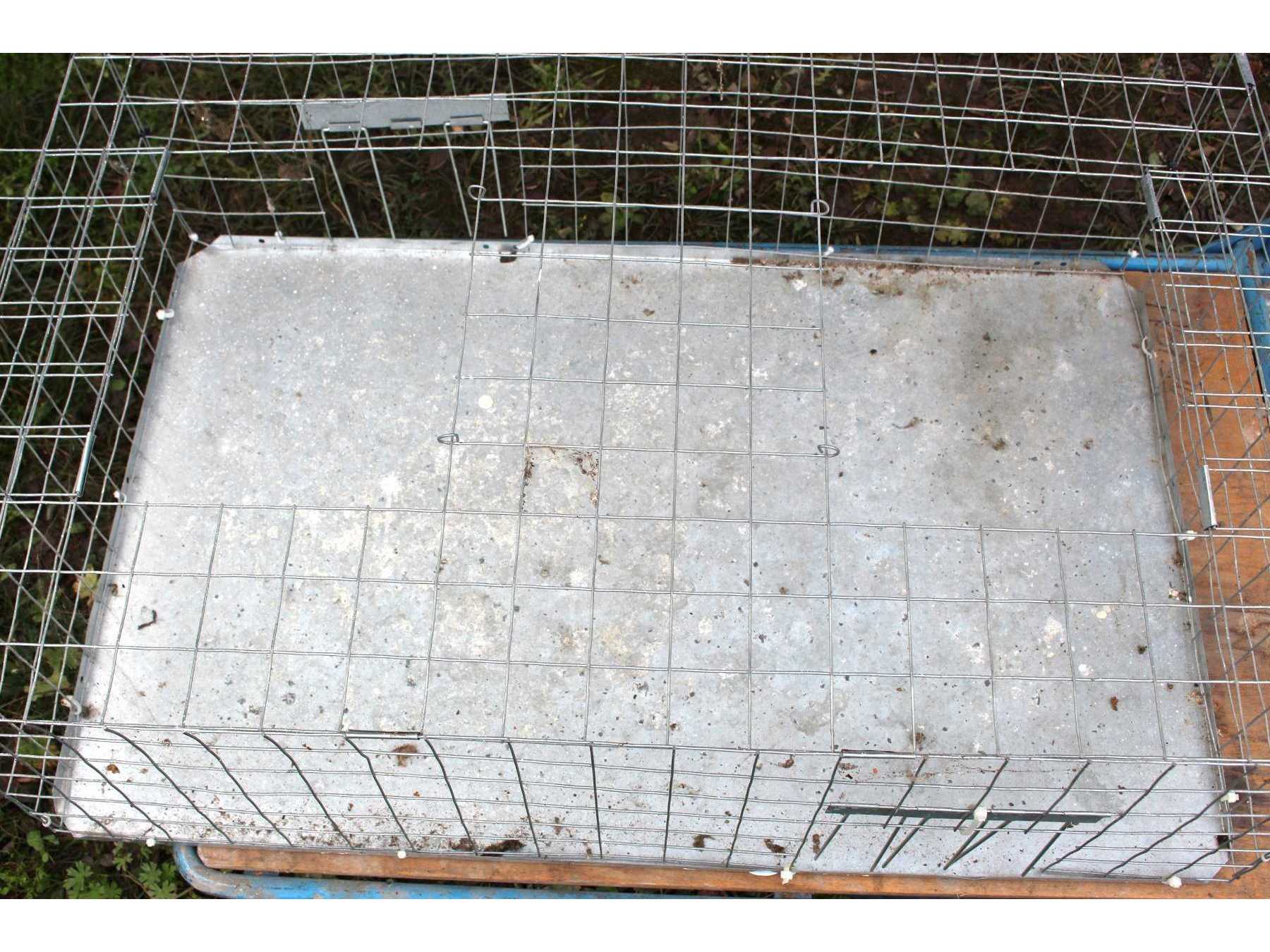 Detailansicht Taubentransportkäfig Eingriff oben