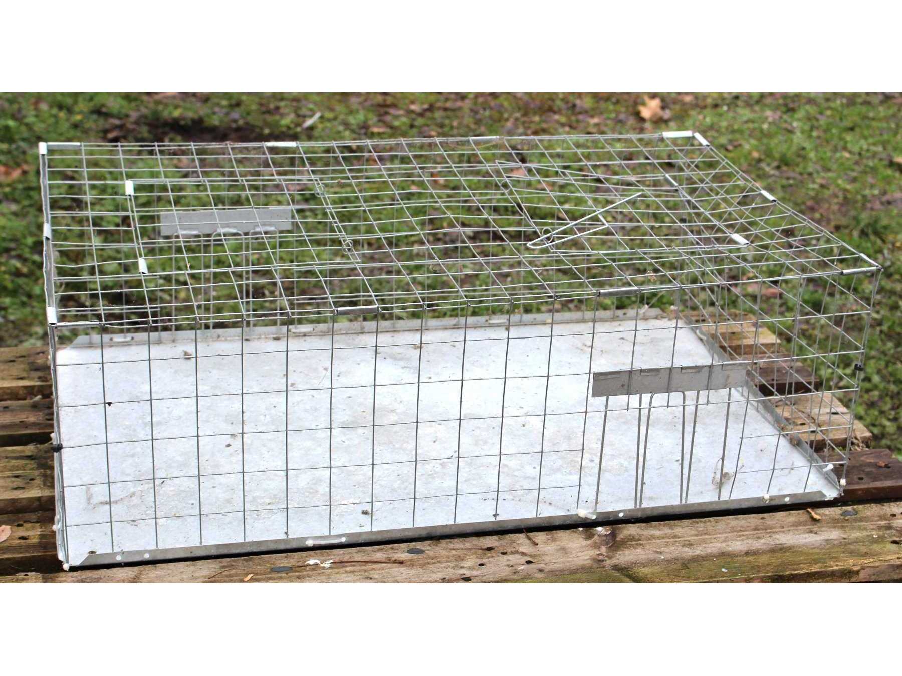 Ansicht Taubentransportkäfig