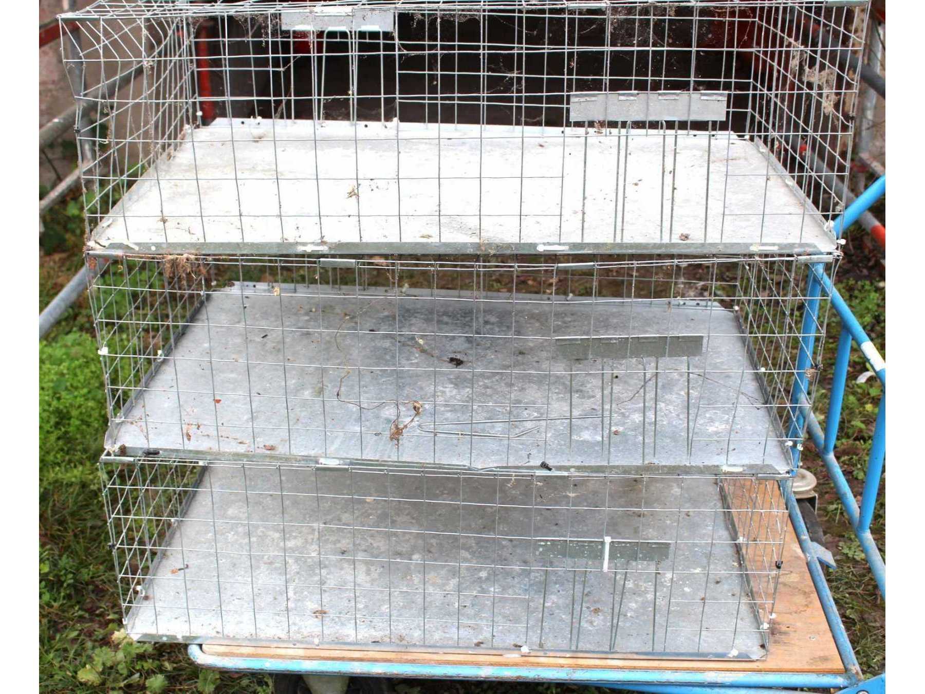 Gesamtangebot 3 Taubentransportkäfige