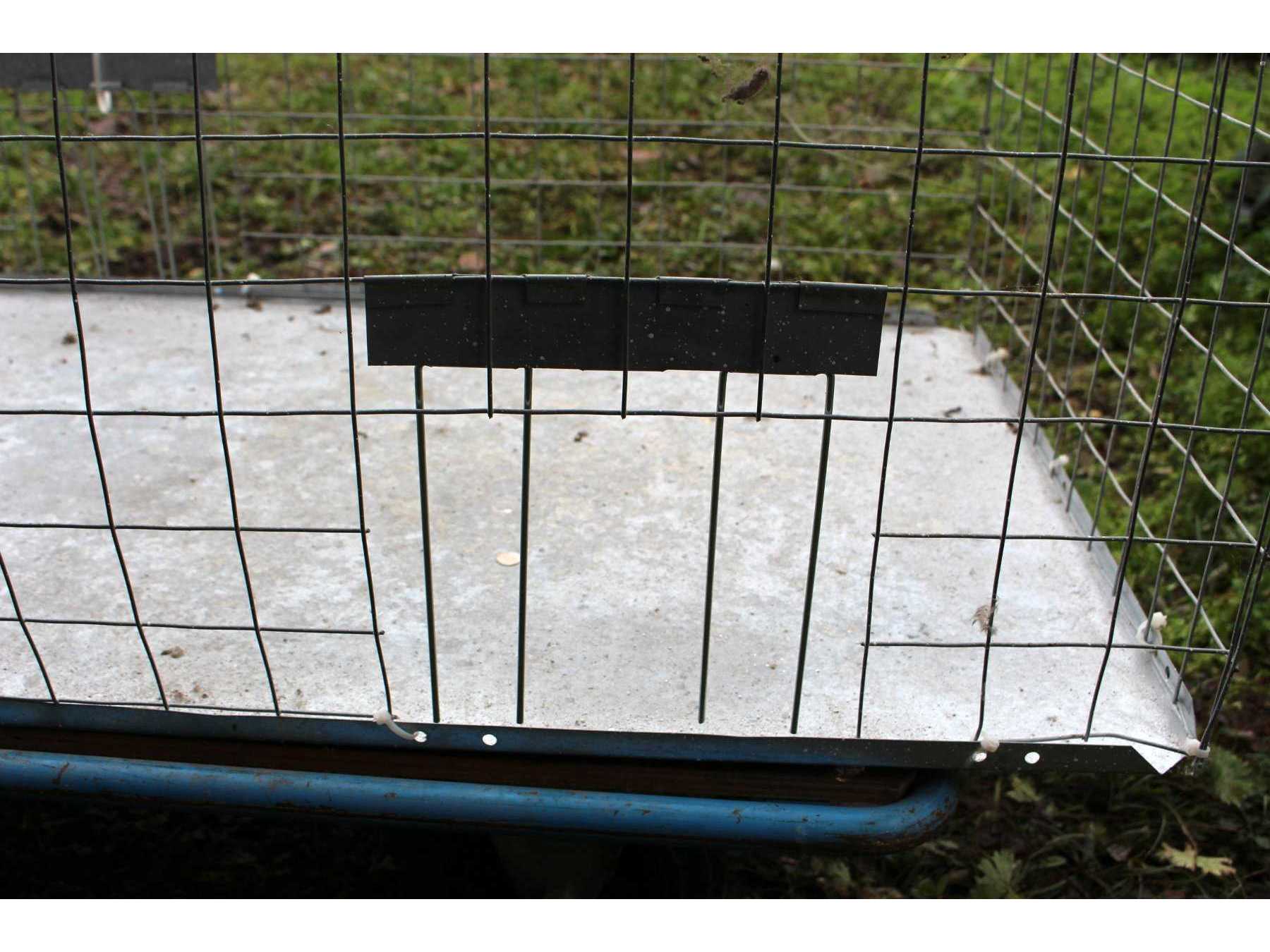 Detailansicht Taubentransportkäfig Öffnung