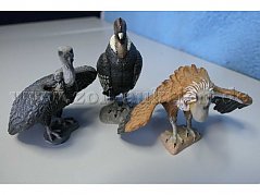 Tiere von vorne