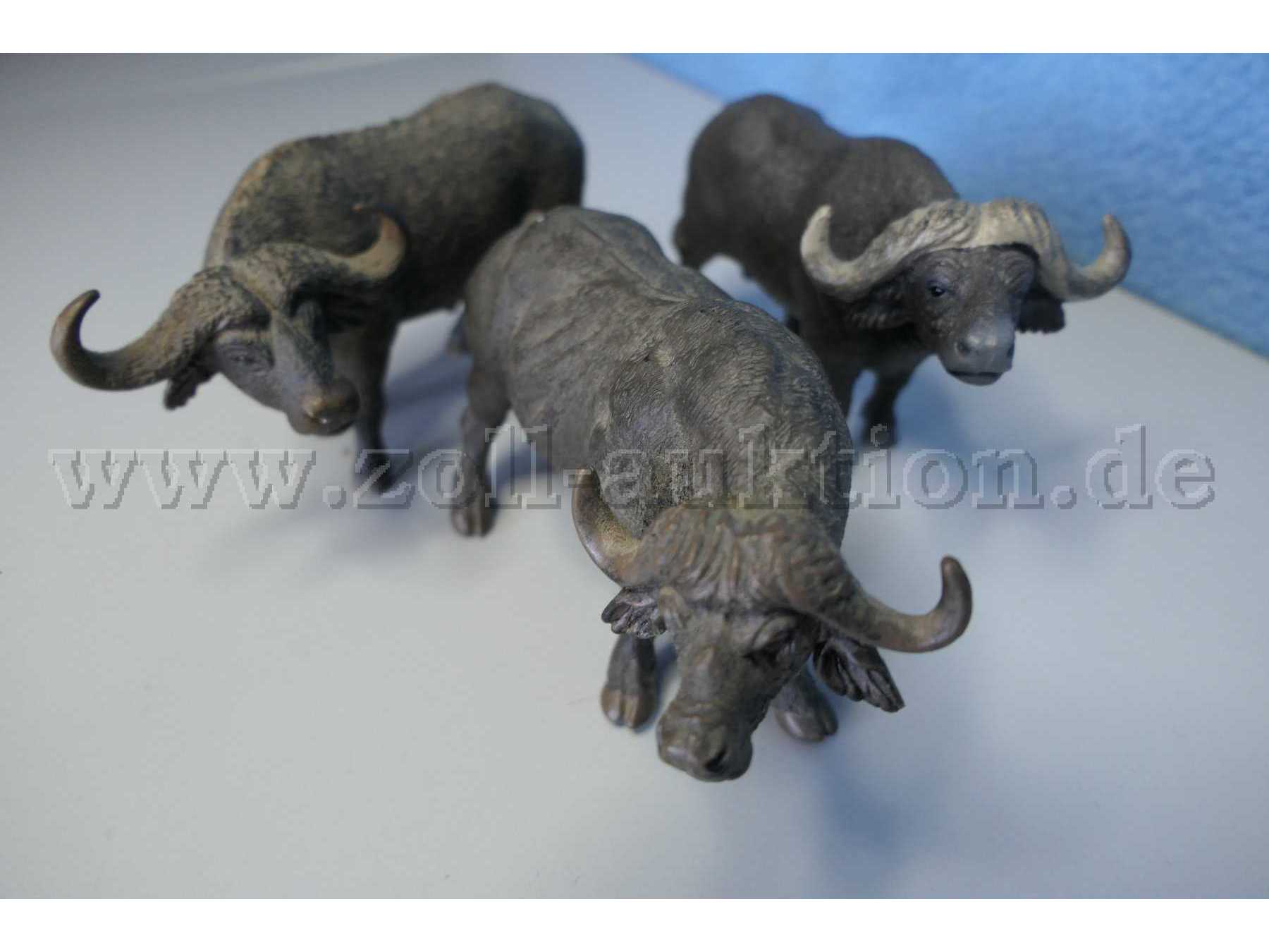 Tiere von vorne