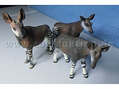 Tiere von vorne
