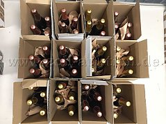 Ansicht von oben (gesamt)