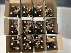 Ansicht von oben (gesamt)